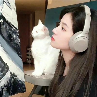 帮帮我托德第二季